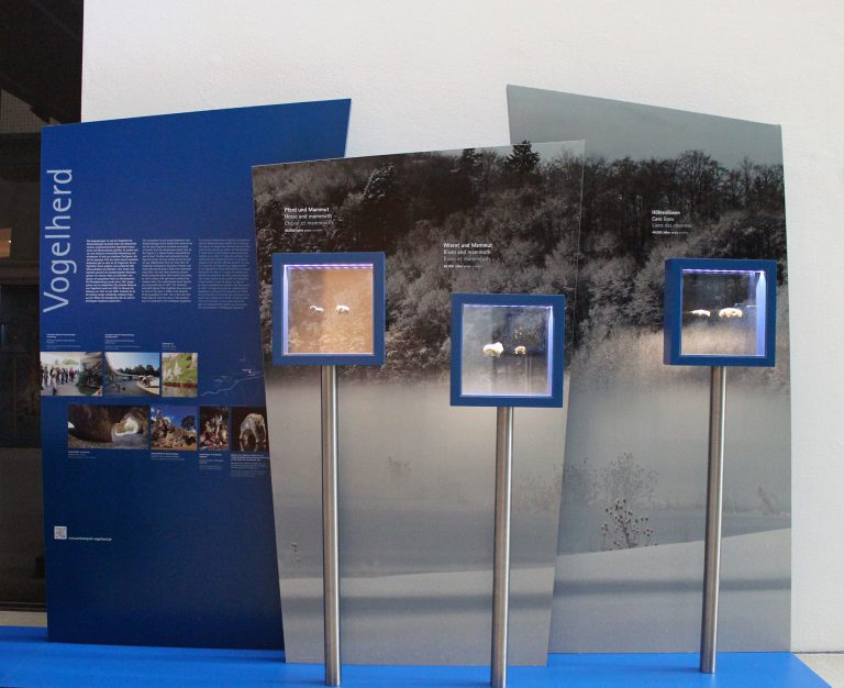 Ausstellungsansicht mit drei Vitrinen. In den Vitrinen sind kleine geschnitzte Figuren ausgestellt: Pferd und Mammut, Wisent und Mammut sowie Höhlenlöwen.