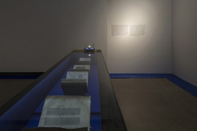 Ausstellungsraum mit einer langen Vitrine, in der verschiedene Bücher ausgestellt sind.