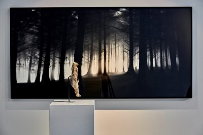 Exhibition view "Why Art?" with Lion Man