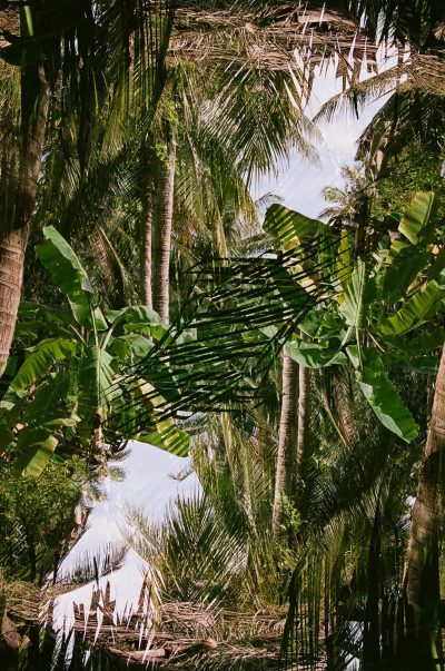 Calebe Simoes_Indomitable Tropic, 2019, Fotografie, Courtesy by the artist