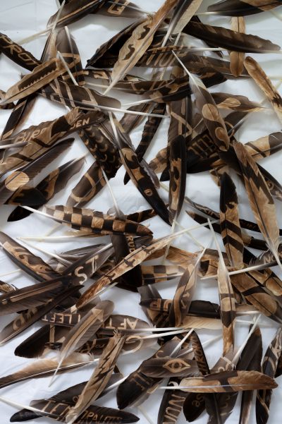 Julian Westermann, “An effort to blow it”, Federn (Kanadagans), Bleiche, 2021