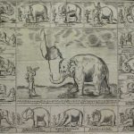 Flugblatt mit den Kunststücken des Elefanten Hansken, Stadtbibliothek Ulm